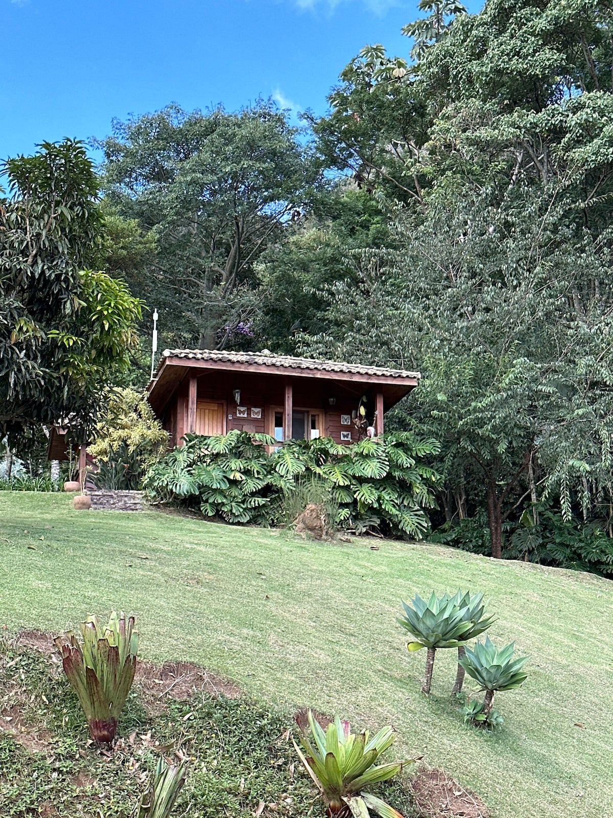 Bacon ipsum dolor amet chuck t-bone alcatra burgdoggen jowl tongue pork cupim ball tip.