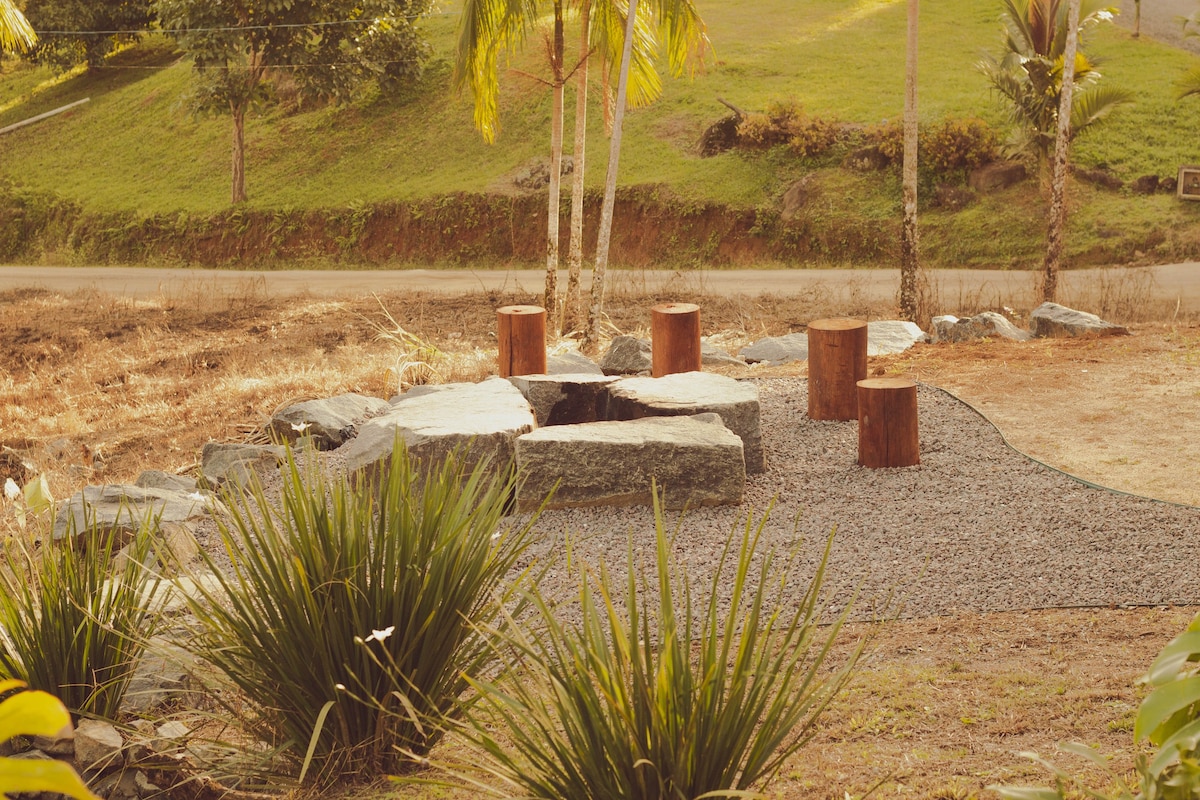 Bacon ipsum dolor amet cupim pastrami brisket pancetta cow.