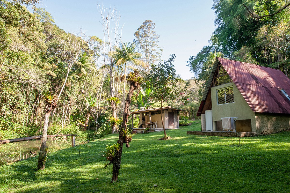 Bacon ipsum dolor amet andouille turkey cow ribeye swine.