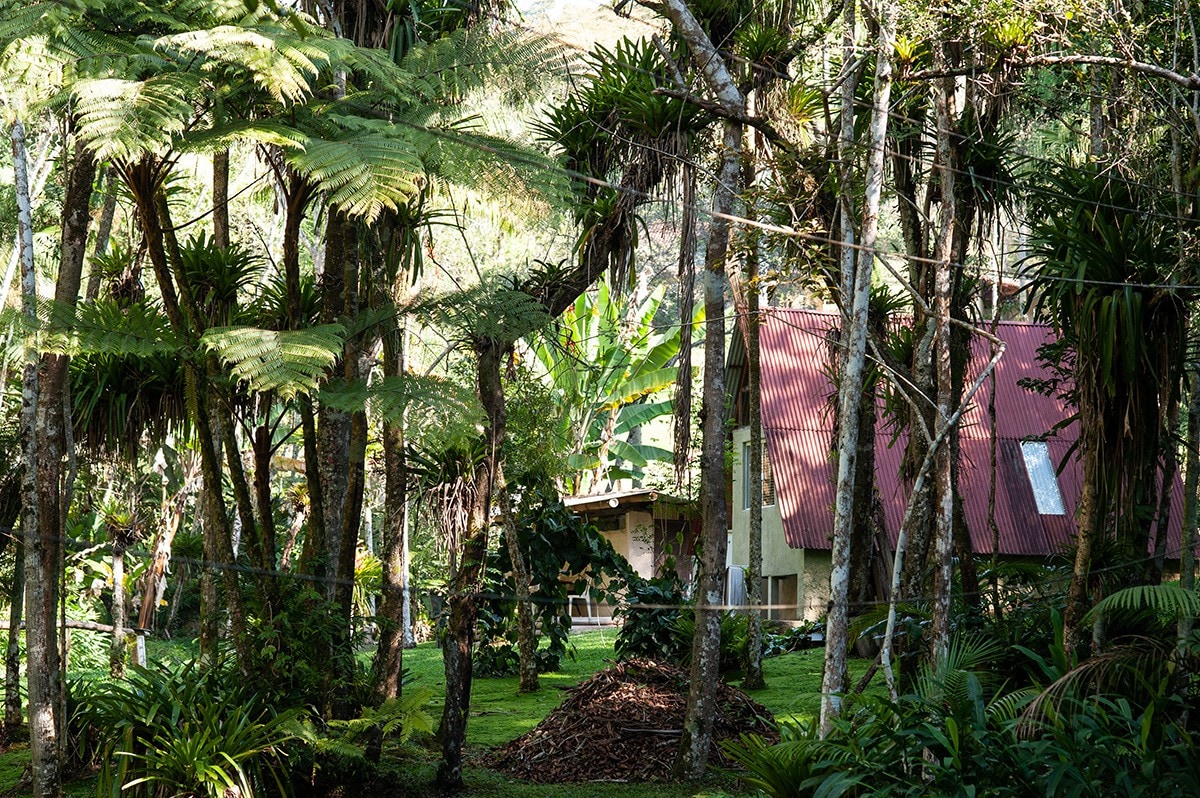 Bacon ipsum dolor amet shankle frankfurter bresaola picanha spare ribs pig flank.