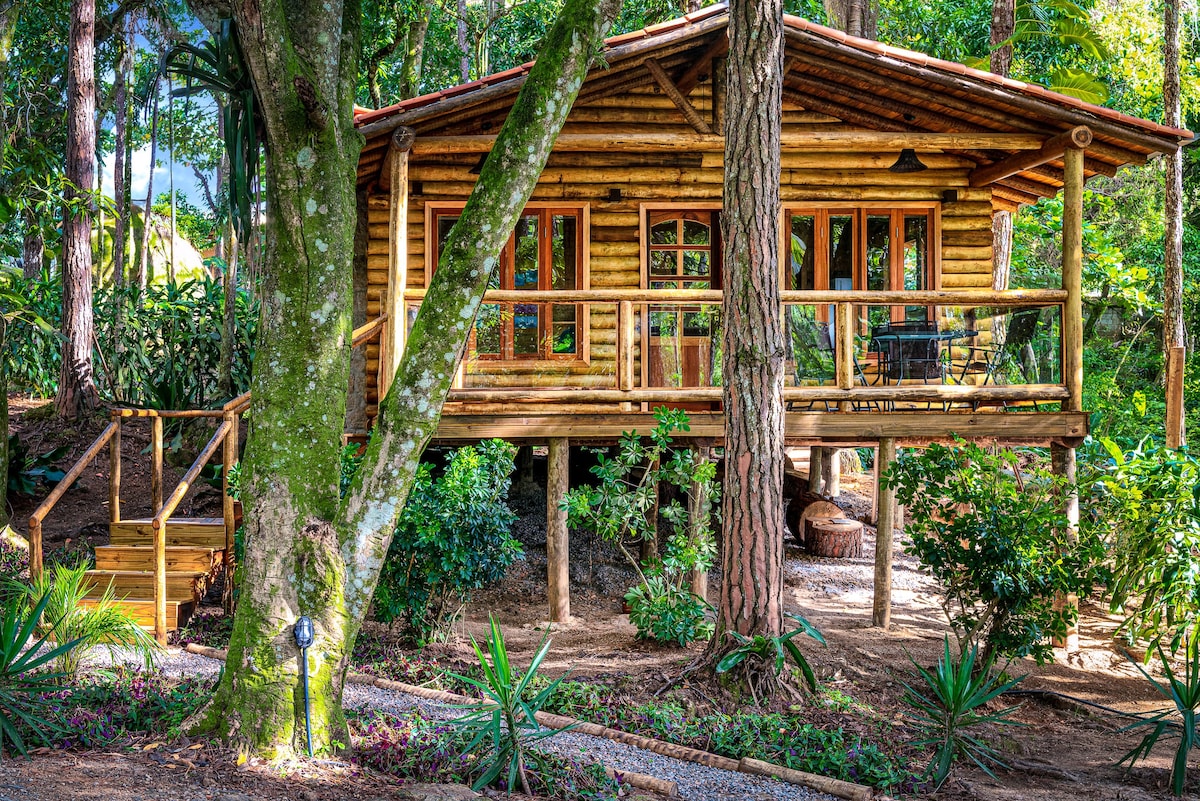 Bacon ipsum dolor amet chislic short ribs ham jowl, ham hock sirloin tenderloin rump.