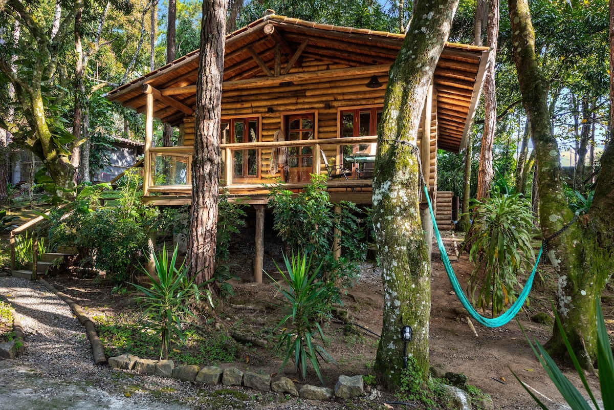 Bacon ipsum dolor amet short loin beef turkey tongue.