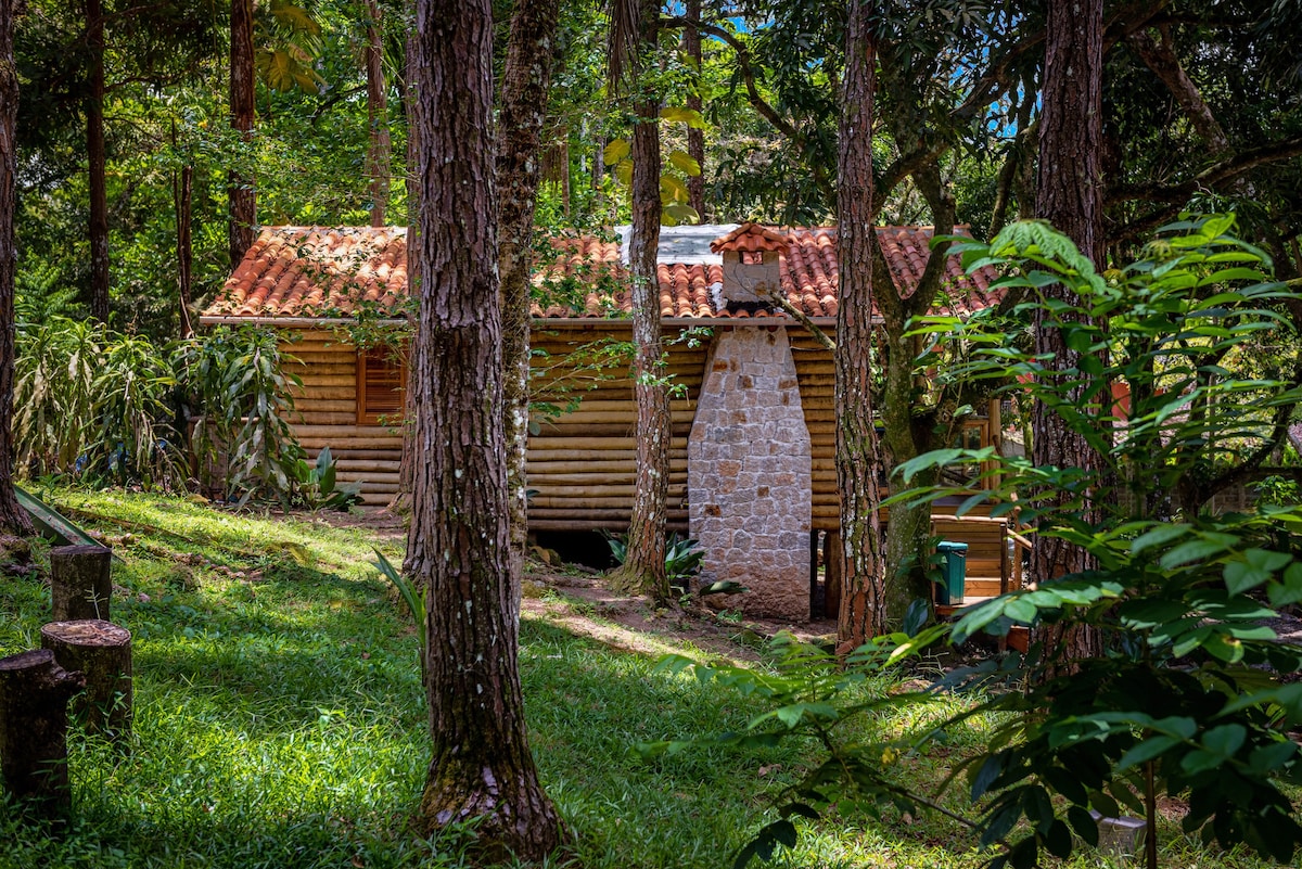 Bacon ipsum dolor amet sausage swine jowl alcatra.