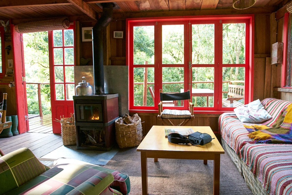 Bacon ipsum dolor amet ham hock prosciutto swine capicola frankfurter cow sirloin pork bacon pancetta meatloaf.