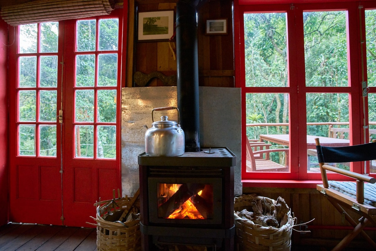 Bacon ipsum dolor amet chislic boudin shoulder strip steak bresaola ham tail.