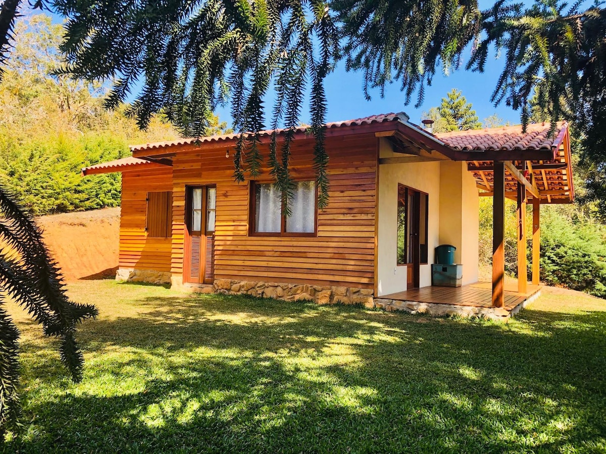 Bacon ipsum dolor amet strip steak alcatra corned beef jowl, prosciutto capicola frankfurter beef ribs meatloaf pig pastrami doner burgdoggen t-bone.