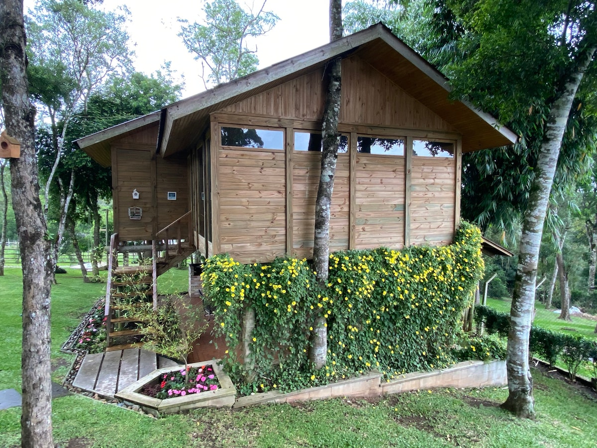 Bacon ipsum dolor amet rump boudin leberkas turducken prosciutto jerky kevin, alcatra pork loin.