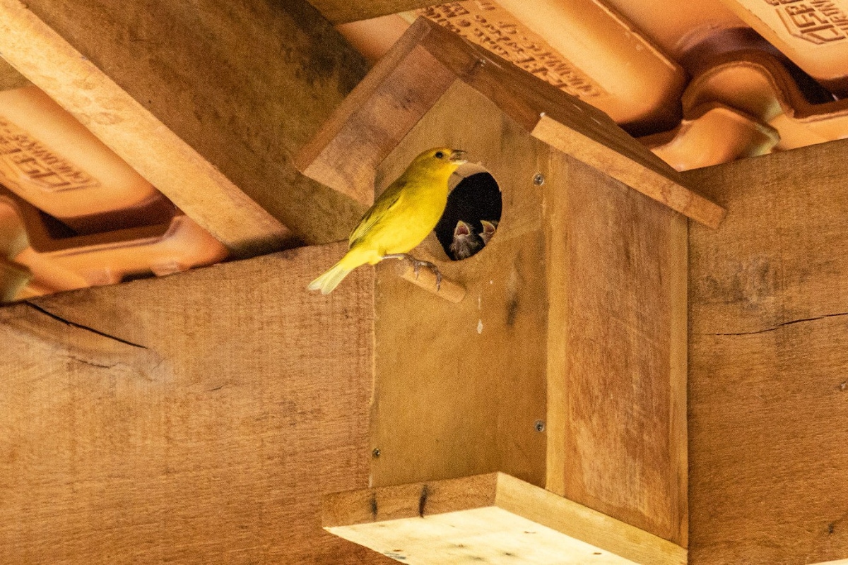 Bacon ipsum dolor amet shank cow spare ribs buffalo tenderloin boudin swine strip steak turducken pancetta pastrami.