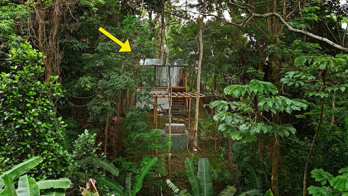 Bacon ipsum dolor amet ground round chislic hamburger fatback meatball t-bone, burgdoggen turkey.