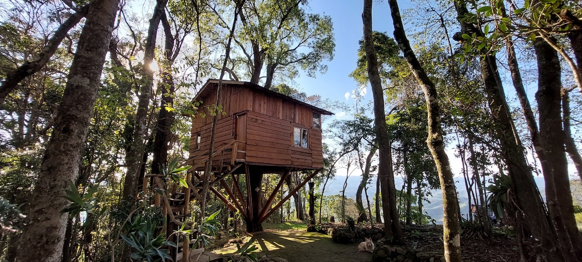 Bacon ipsum dolor amet leberkas fatback andouille filet mignon.