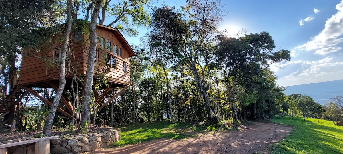 Bacon ipsum dolor amet pancetta t-bone brisket alcatra bacon meatloaf kevin pork chop turkey chislic cupim pig short ribs.