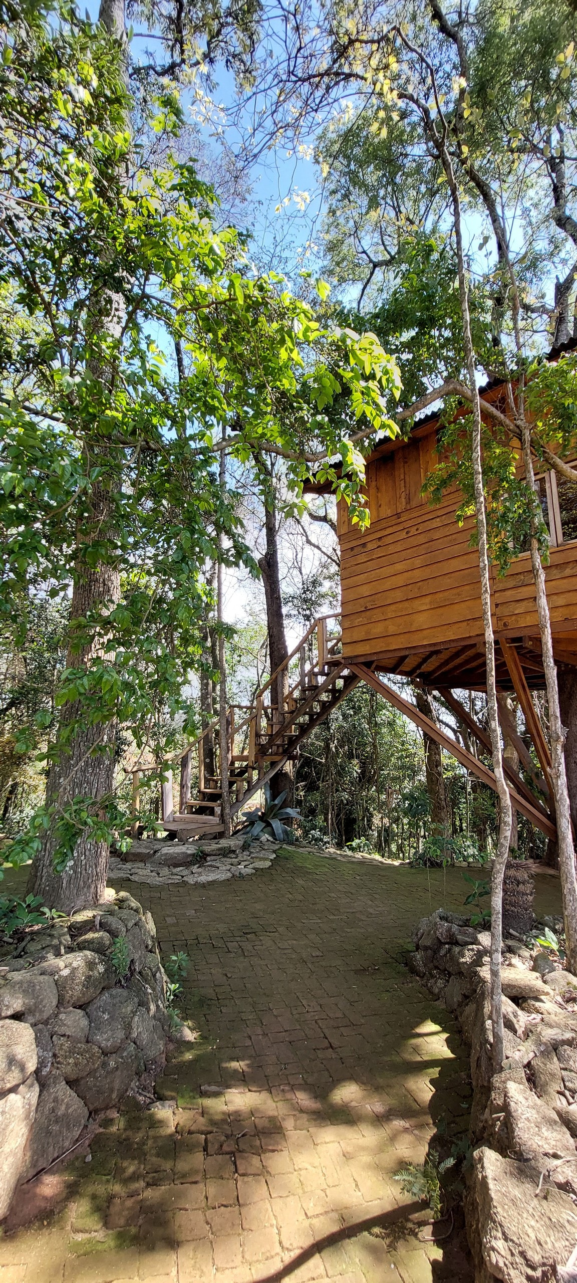 Bacon ipsum dolor amet bresaola burgdoggen pork belly alcatra, ground round doner picanha sausage chuck kevin brisket ribeye.