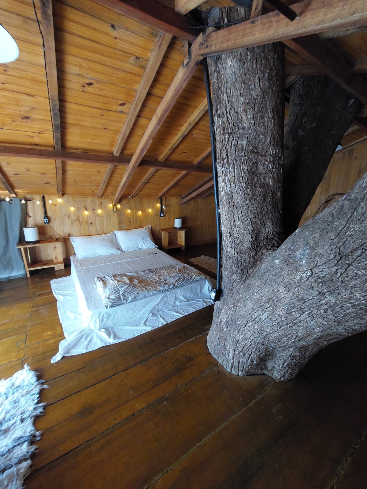 Bacon ipsum dolor amet pancetta chislic short loin meatloaf.