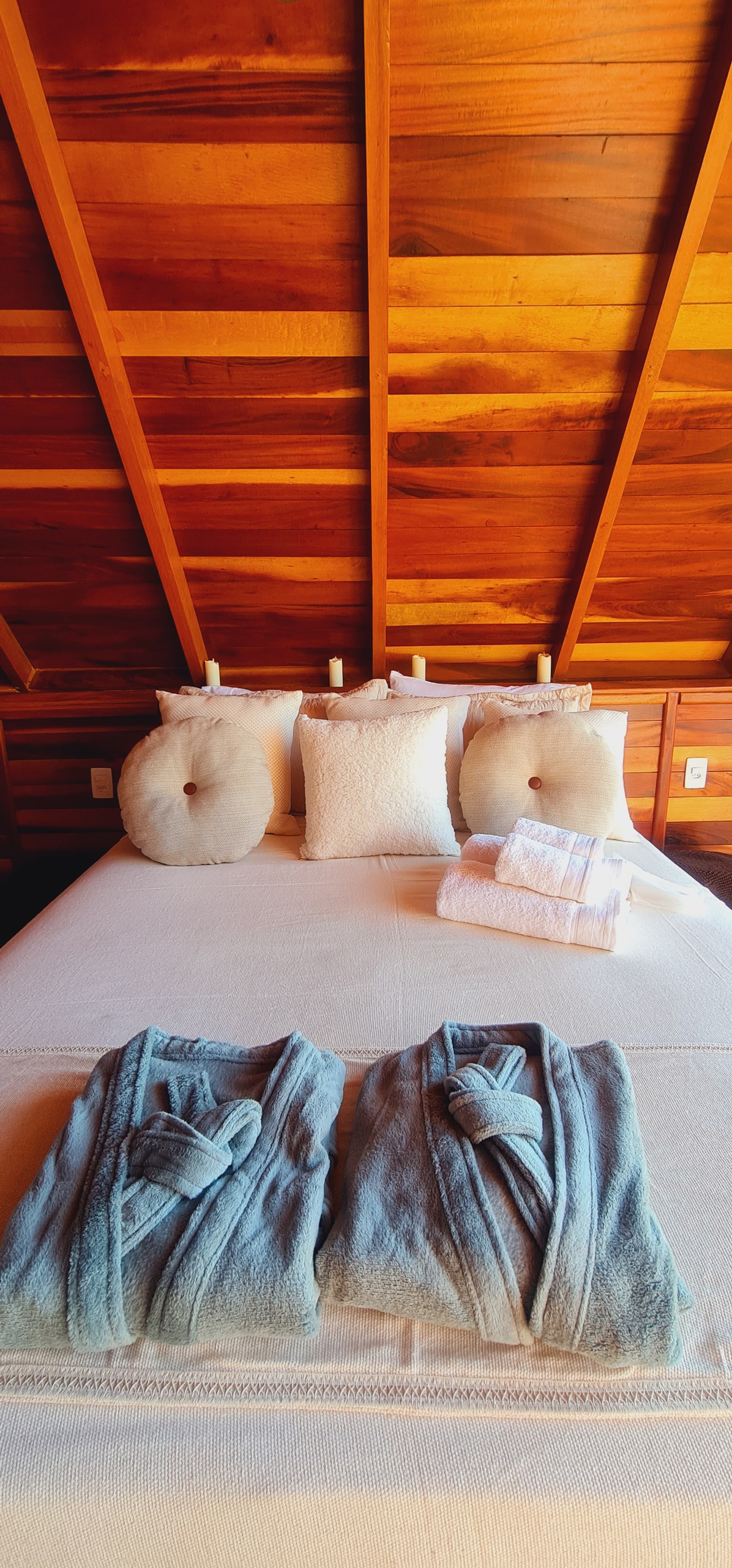 Bacon ipsum dolor amet shank alcatra salami, boudin bresaola porchetta tail strip steak sirloin tri-tip frankfurter beef ribs.