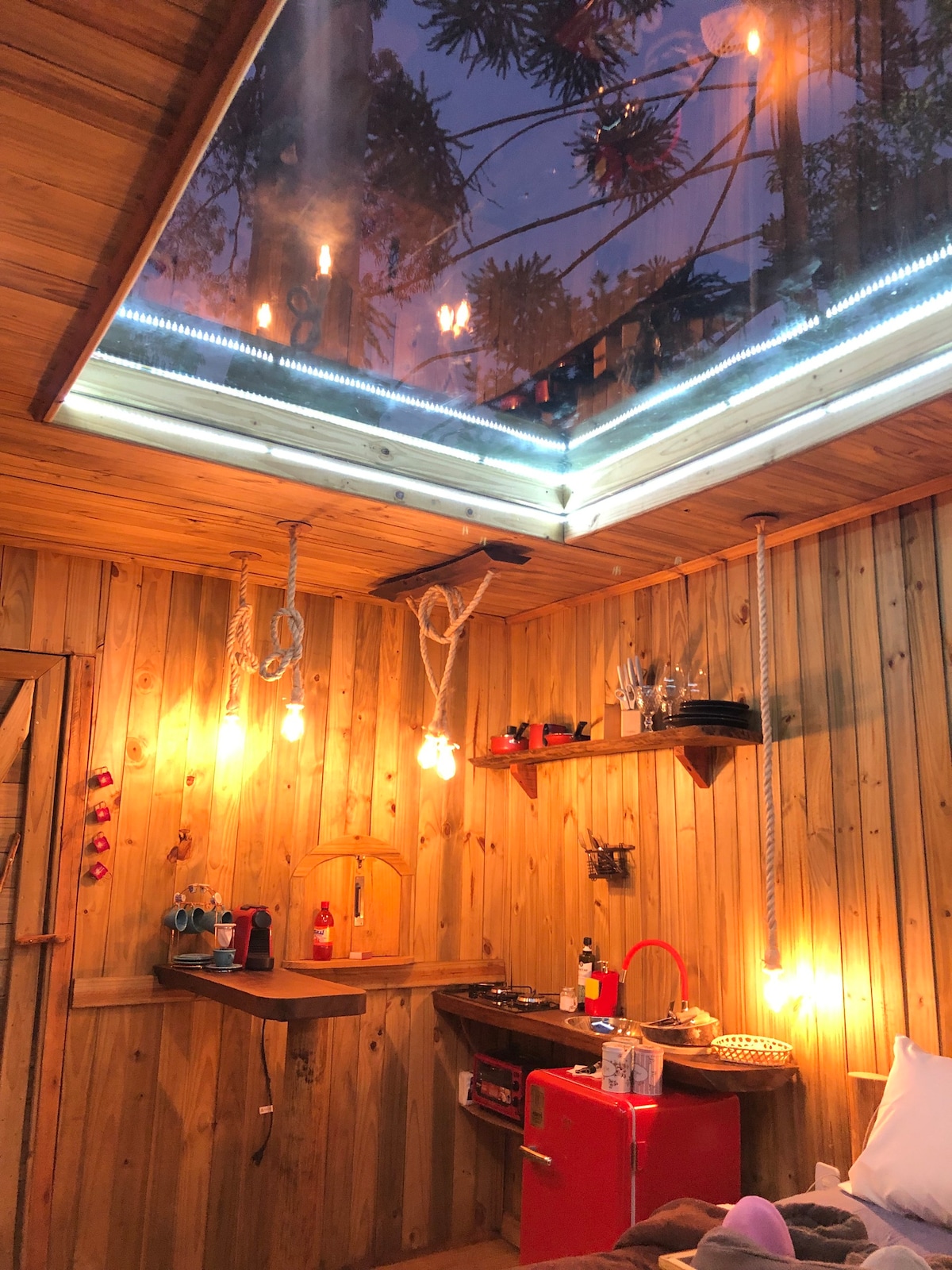 Bacon ipsum dolor amet cow kielbasa ground round filet mignon buffalo meatball alcatra.