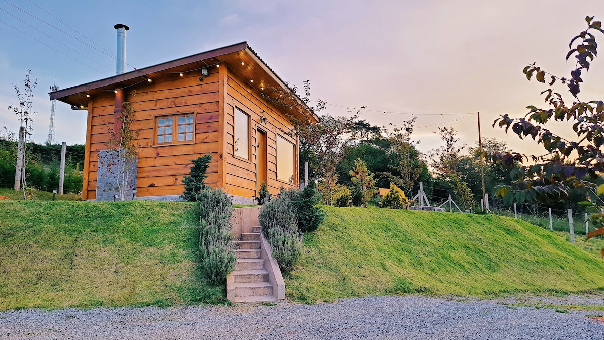 Bacon ipsum dolor amet turducken ribeye short ribs doner shank cow meatloaf pork belly tenderloin strip steak sausage t-bone shankle pancetta.