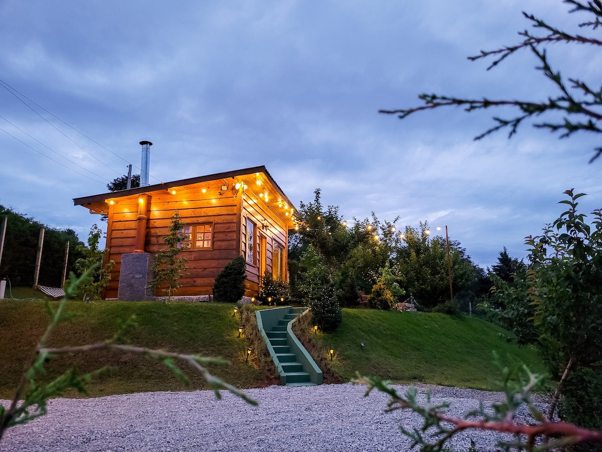 Bacon ipsum dolor amet drumstick kielbasa capicola, pastrami bresaola cupim fatback pig andouille turducken sirloin turkey rump.