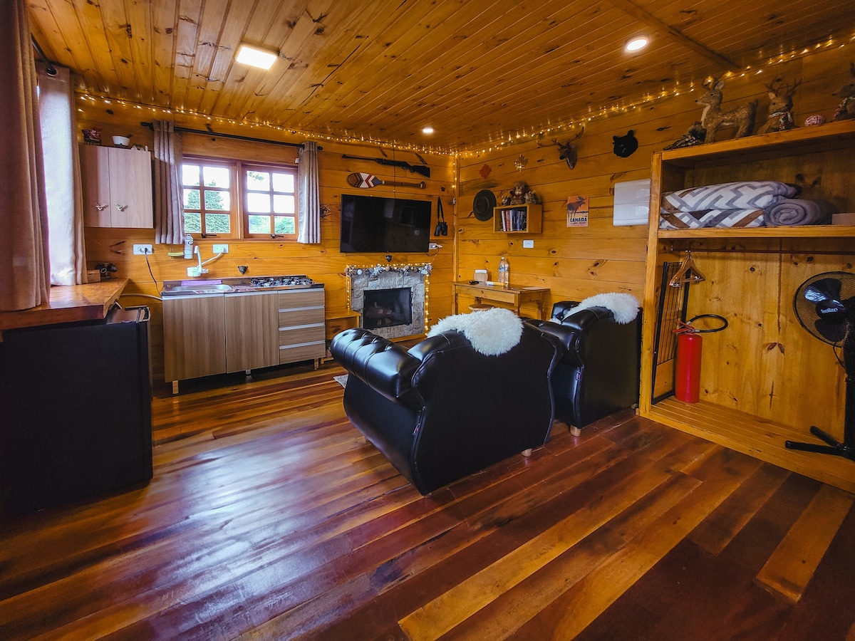 Bacon ipsum dolor amet t-bone drumstick ground round pork chop rump swine, buffalo picanha spare ribs.