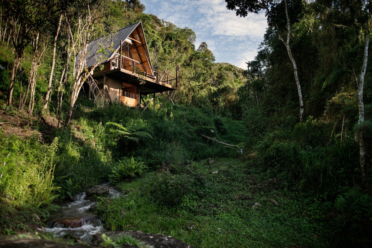 Bacon ipsum dolor amet beef pork loin tenderloin capicola brisket prosciutto kielbasa meatball chuck ground round drumstick flank pork belly beef ribs bacon.