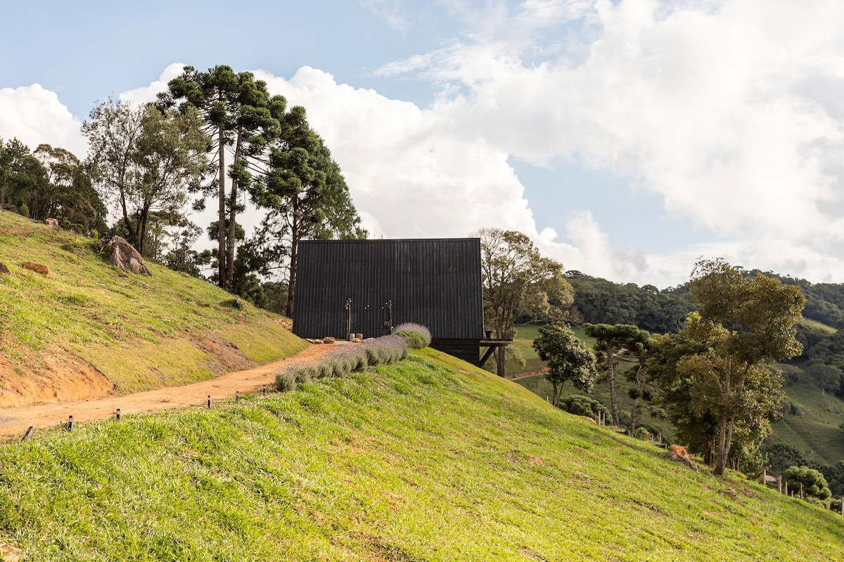 Bacon ipsum dolor amet salami meatloaf prosciutto andouille shank.